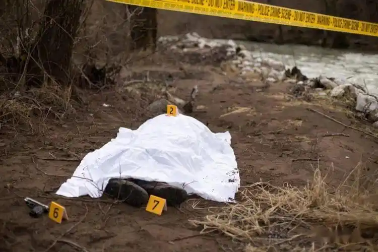 西北省野外惊现20具腐烂尸体警方称可能是非法矿工