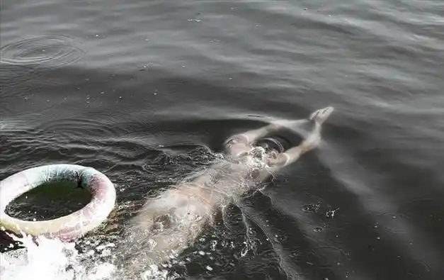 野游很危险水性好却游泳时淹死的人一般都是因为哪些原因