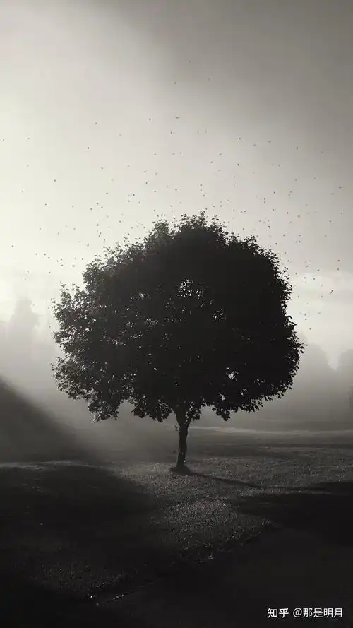 有没有与手机黑色主题融为一体的微信聊天背景图以及手机壁纸?