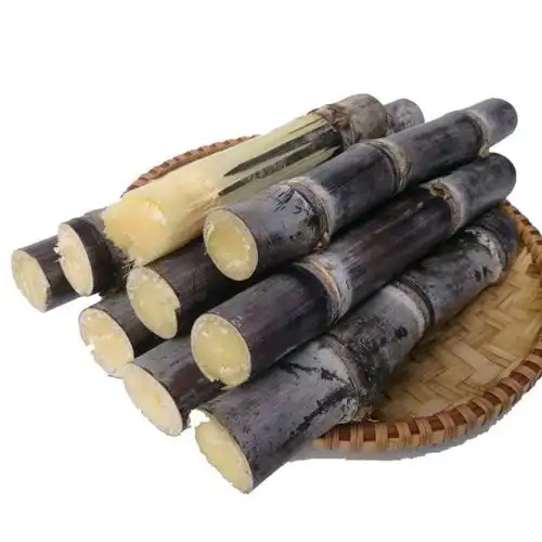 博多客 黑皮甘蔗 8斤 甜味实足 甘蔗汁 整根 海南水果 现砍 甘蔗 结婚