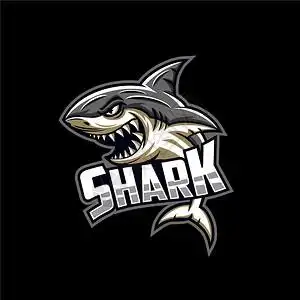 详细的艺术鲨鱼野生标志说明插画