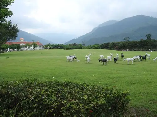 兆丰农场免费入园