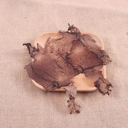 蟾蜍衣蟾蜍衣蟾蜍衣粉癞蛤蟆皮十片装10张大蟾蜍衣