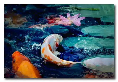 鱼戏荷花图