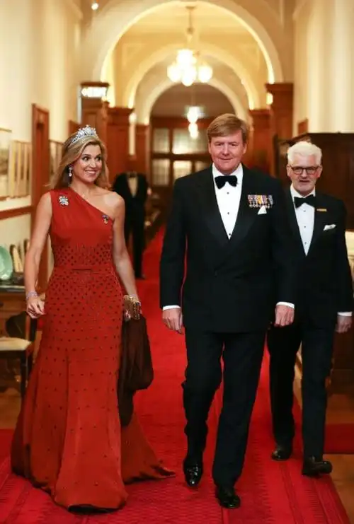 荷兰王室接待马克龙夫妇马克西玛王后穿宫廷风泡袖裙好隆重呀