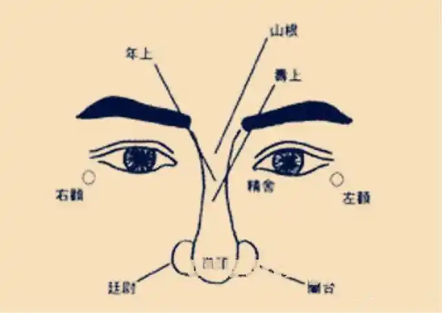 面相图解:鼻子