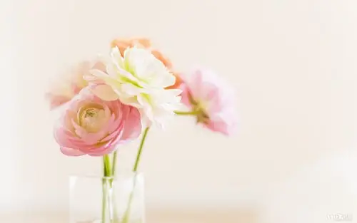 首页 桌面壁纸 风格壁纸 小清新风格桌面高清壁纸 (5/ 7) 2017-03-01