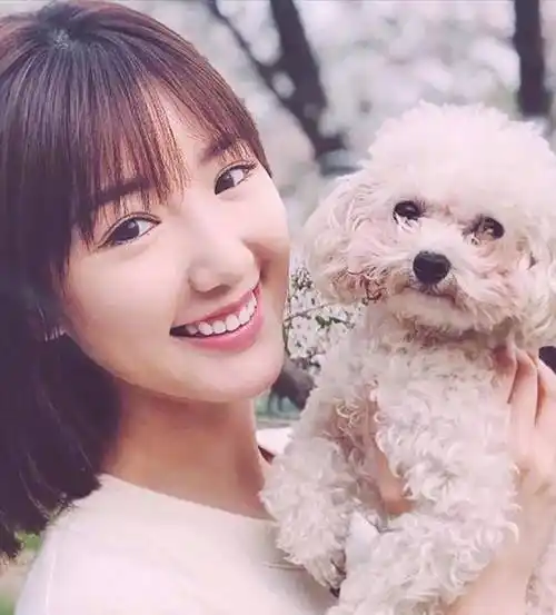 原创盘点国内娱乐圈那些清新甜美治愈系女明星谁甜到你的心里