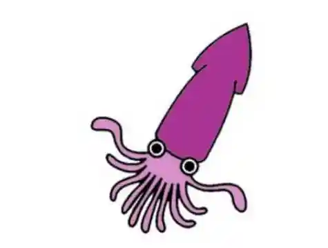 可爱鱿鱼简笔画怎么画 简易鱿鱼简笔画步骤教程