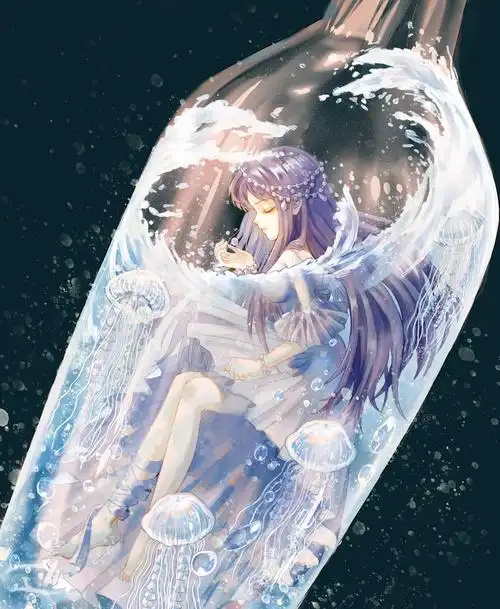 装在玻璃瓶里的,或许是液体,或许是漂流瓶,或许还是美少女(°  &