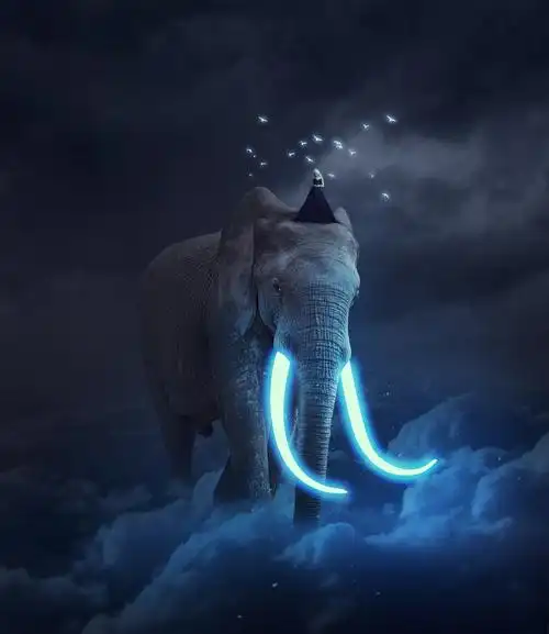 顶尖photoshop创意合成教程,果断收藏!(以及如何找到素材)