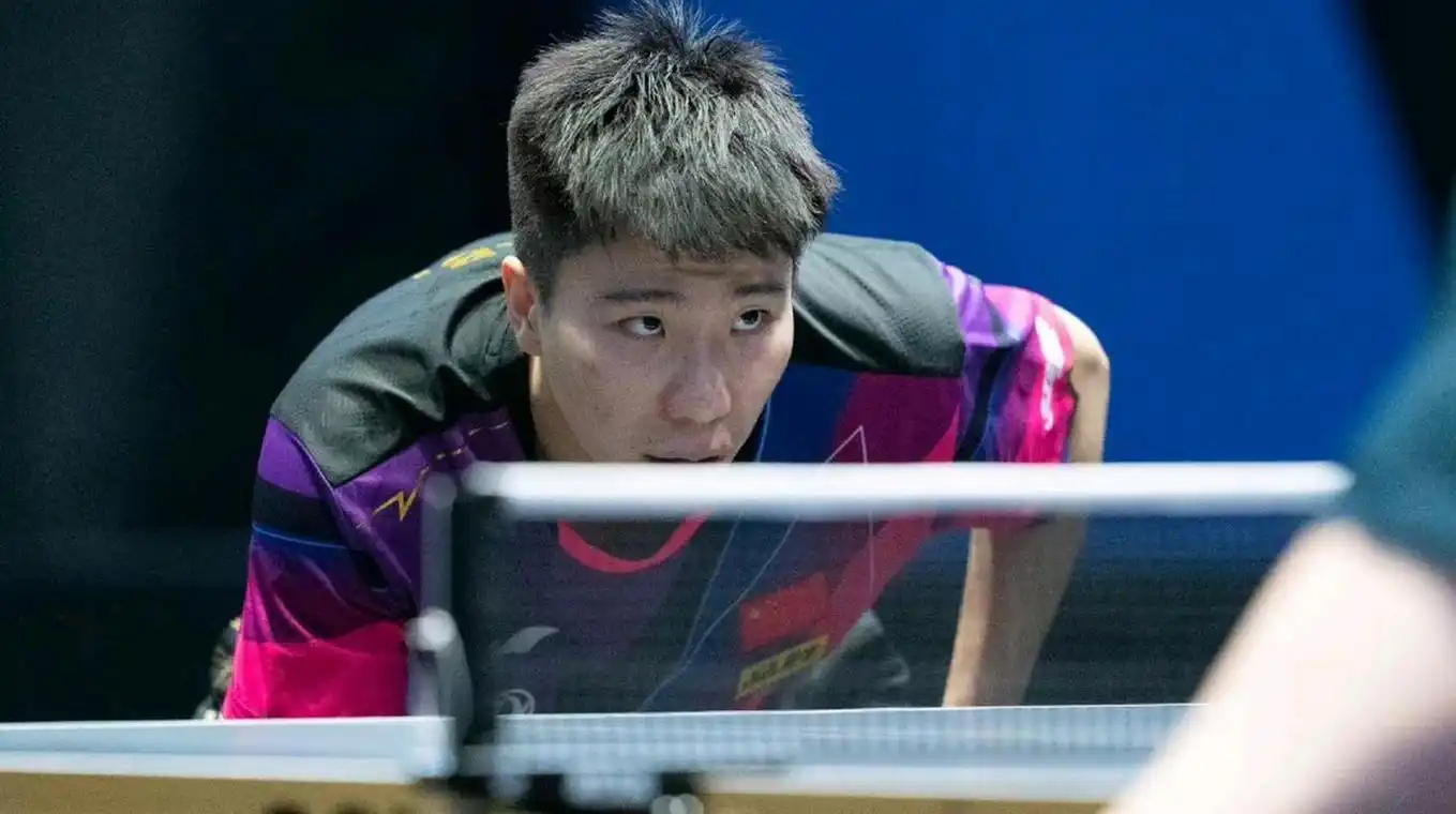 揭秘中国乒乓球传奇:背后的辛酸与荣耀