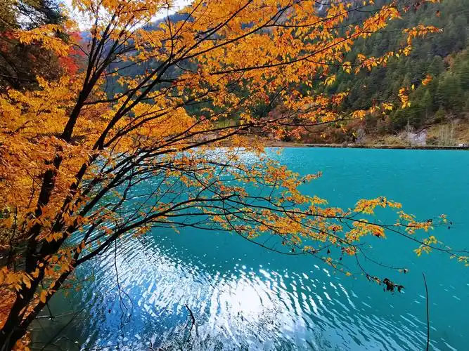 神奇美丽的九寨沟秋景