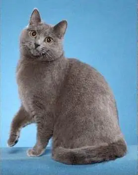 奔驰娱乐真人游戏机