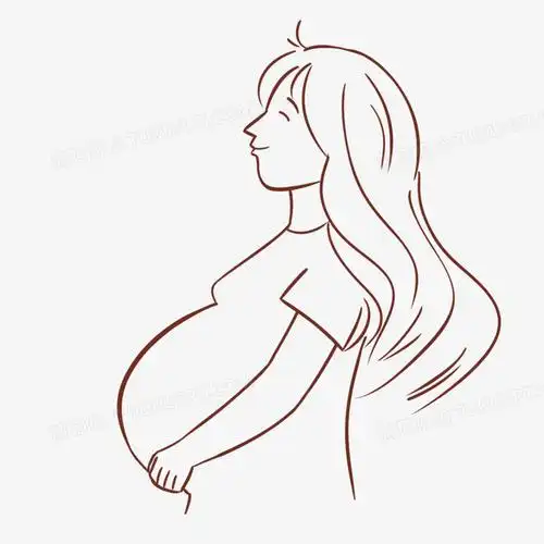 手绘线条勾勒孕妇形象元素