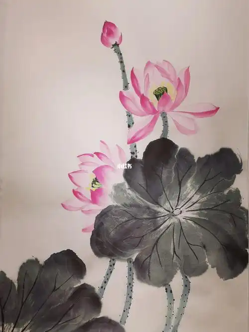 国画荷花画法演示七零基础学国画