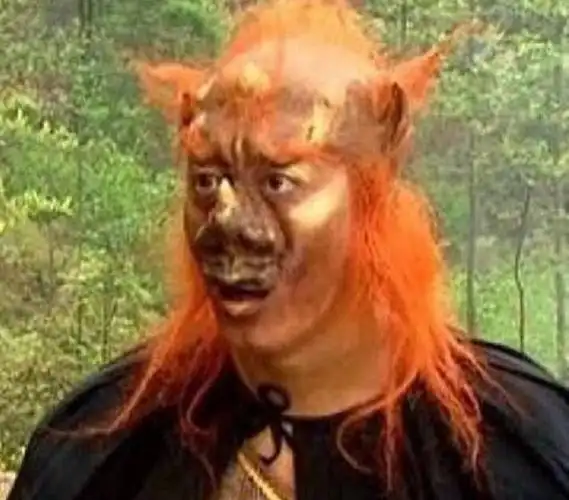 宋雨琦造型像小钻风小钻风是西游记里面经典的小妖怪形象,虽然滑稽