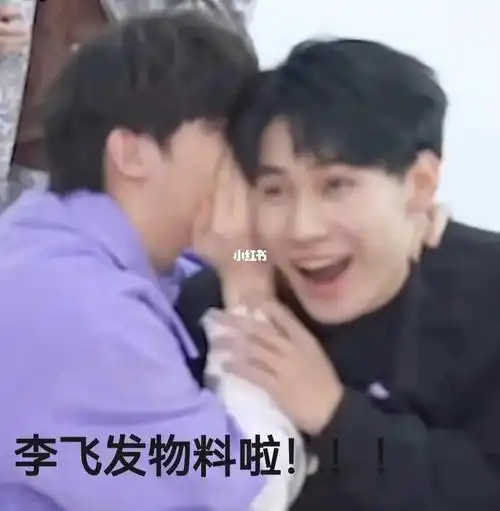 329李飞新物料里的表情包喔78