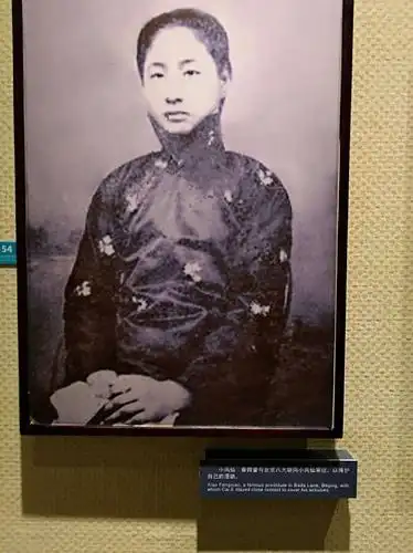 小凤仙～蔡锷曾与小凤仙来往,以掩护自己的活动.