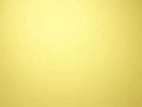 黄色背景照片