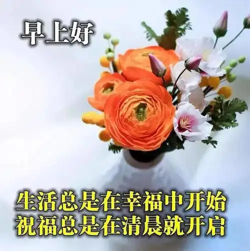 2020最新早上好祝福句子,很漂亮的早安问候图片