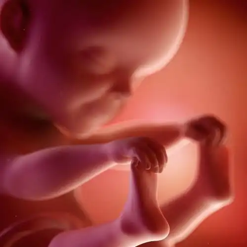 胎儿都会做些什么?答案可爱到爆!