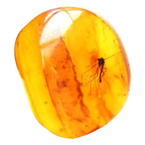 保真大自然博物馆波罗的海天然昆虫琥珀虫珀吊坠原石颈饰