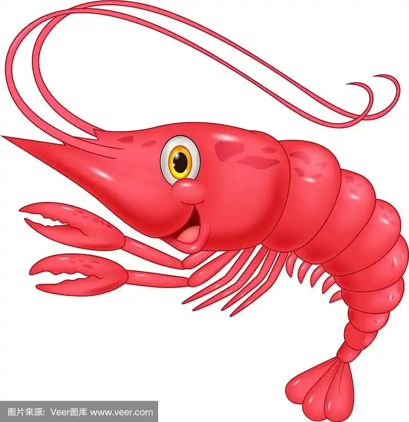 可爱的卡通虾