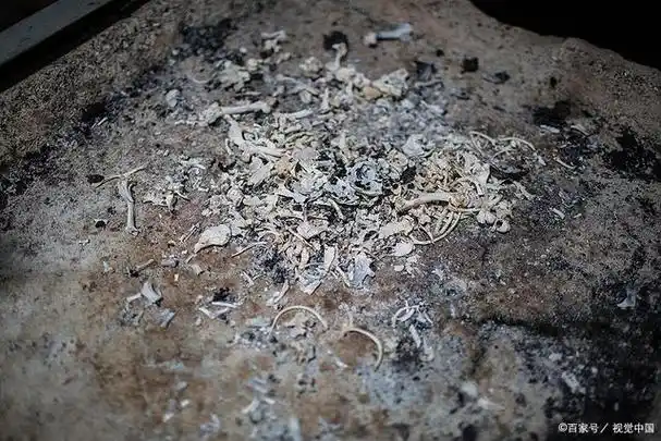 为什么火化后的骨灰里找不到牙齿,难道它被烧成灰了吗
