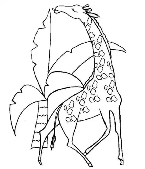 可爱动物植物简笔画