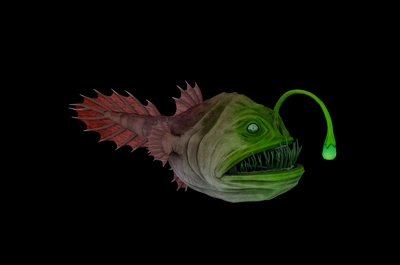 灯笼鱼 鮟鱇鱼 结巴鱼 蛤蟆鱼 海哈蟆 琵琶鱼 深海鱼类 恐怖鱼 魔鬼鱼