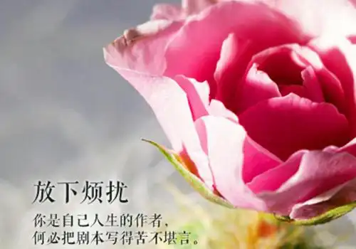 励志文字学会放下图片_有时候放下会得到更多