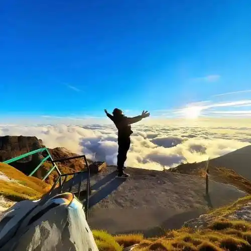 成熟男人专属头像!