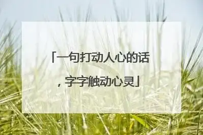 一句打动人心的话,字字触动心灵