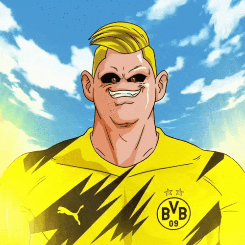 身价暴涨1000倍,他才只有20岁!_哈兰德