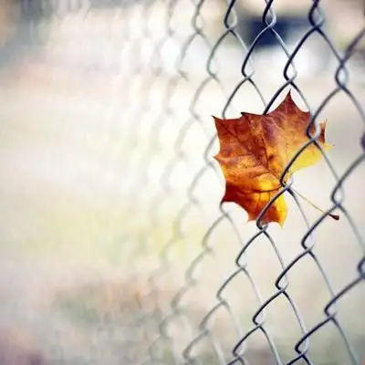 唯美伤感风景头像超好看2020 一件件事看透的都是人心