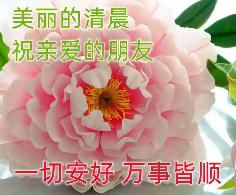 很温馨很漂亮的早上好祝福语,最美清晨问候语表情图片温馨带字