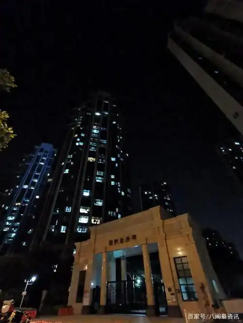 厦门:夜探环东海域,真实入住率令人惊讶!