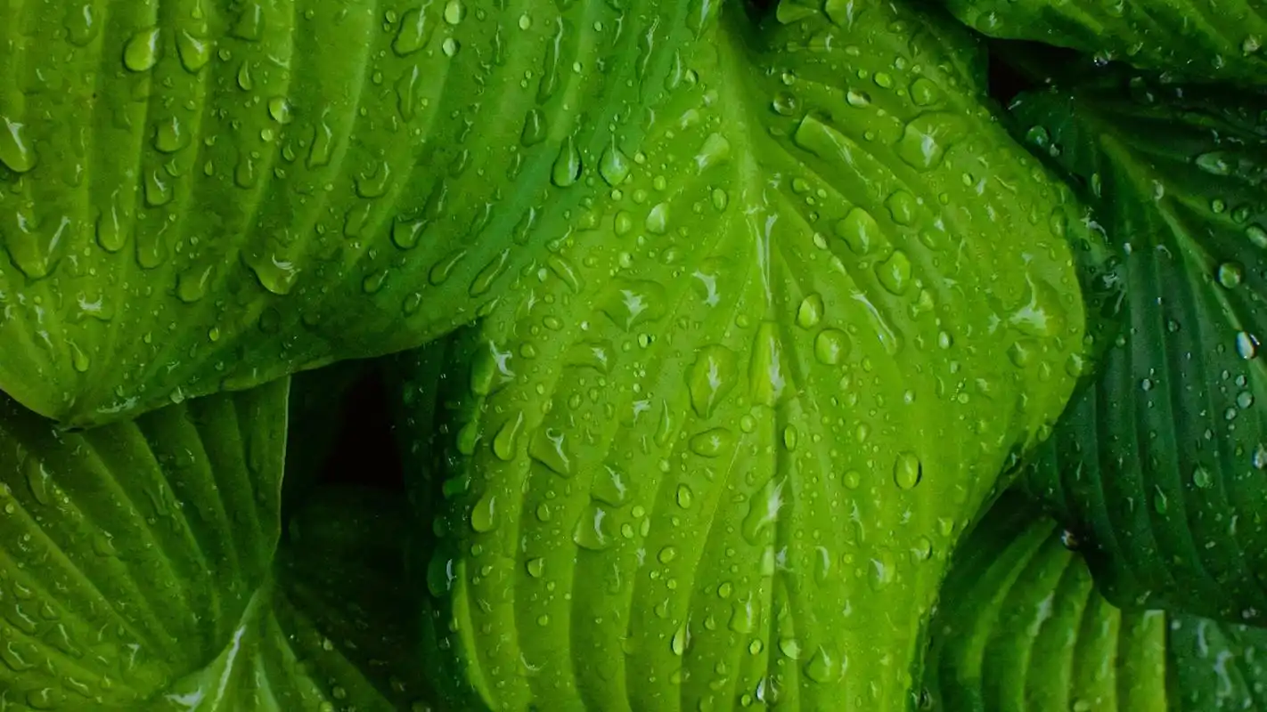 广袤的草原风光美景图片桌面壁纸高清大图预览1920x1080_风景壁纸下载