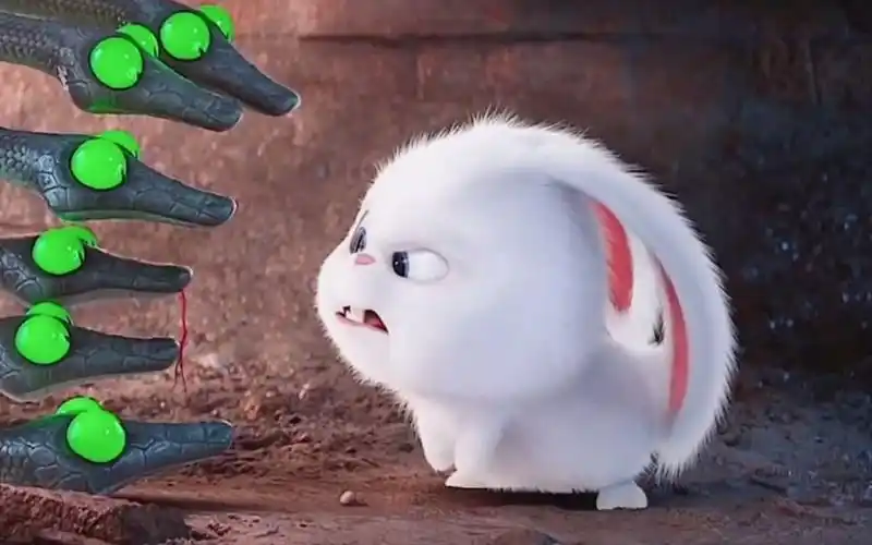 【爱宠大机密】 又凶又萌萌哒可爱的小兔子.