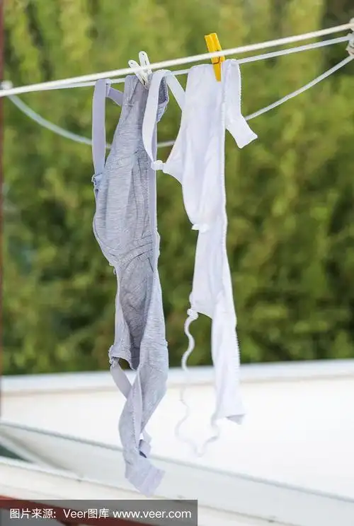 在bodrum mugla turkey,夏天在屋顶晾晒洗好的内衣