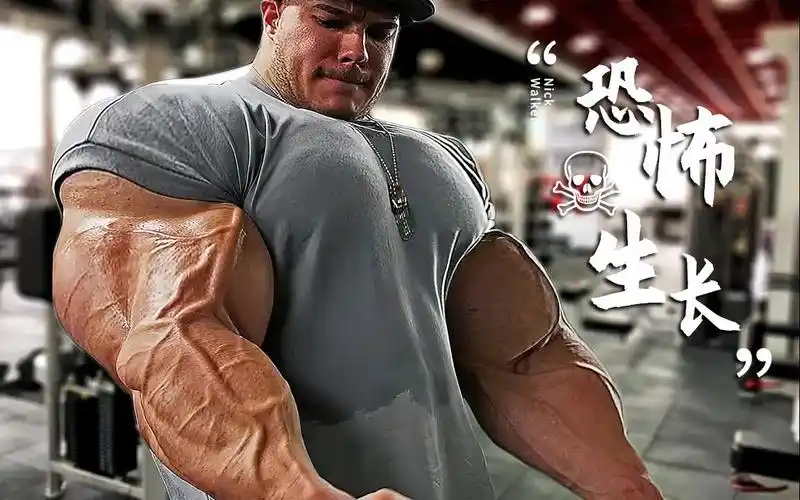 赐你泵感天才型选手健美巨兽nickwalker尼克沃克