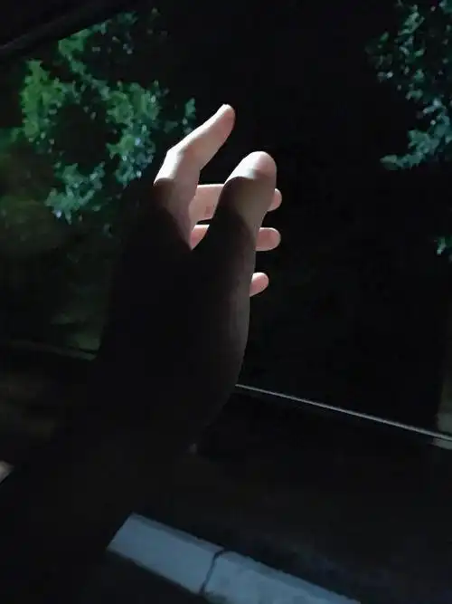 你所见到的城市夜晚