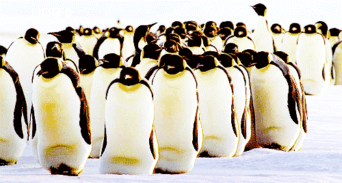 大部分人走路姿势不正确专业教练教你3分钟