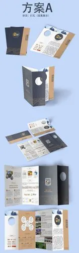 【7-20】百年圆满异形宣传四折页