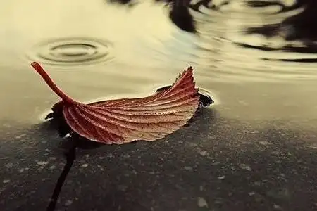 生活平淡幸福的唯美句子平平淡淡才最真实的语句