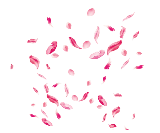 手绘花瓣图片大全