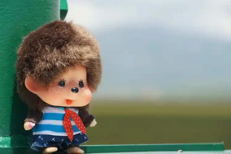 自愈系之二蒙奇奇