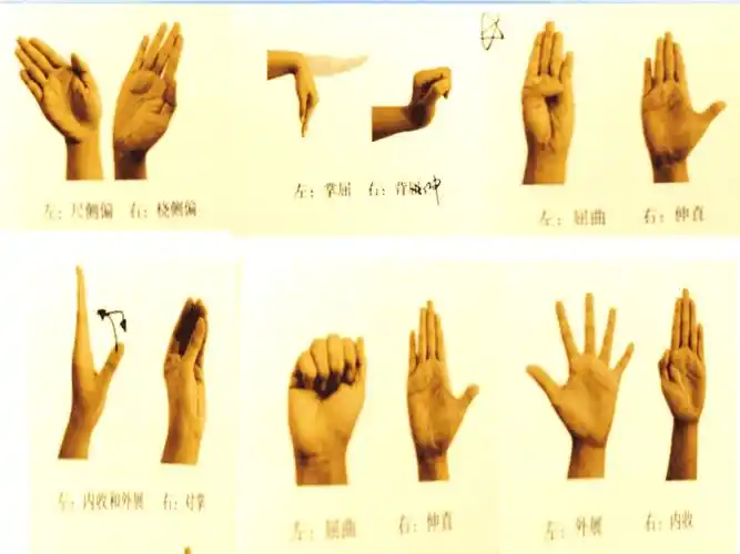 骨科功能锻炼业务学习ppt