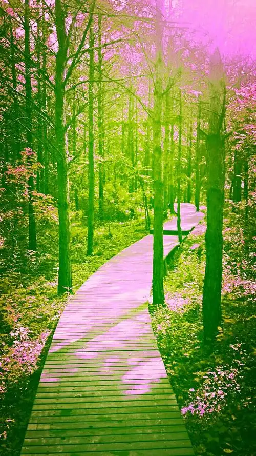 风景这边独好!美丽的长春净月山欢迎你! 王巍